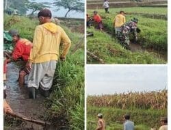 Optimalkan Pasokan Air Sawah, Babinsa Turun Tangan Bersihkan Saluran Irigasi