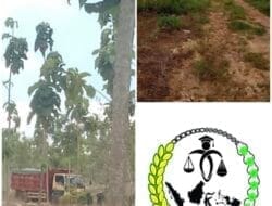 UU Minerba Tajam di Kertas, Tumpul di Lapangan: Skandal Pembiaran Tambang Tuban