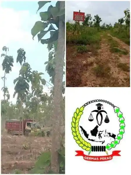 UU Minerba Tajam di Kertas, Tumpul di Lapangan: Skandal Pembiaran Tambang Tuban