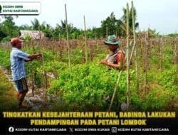 Tingkatkan Kesejahteraan Petani, Babinsa Lakukan Pendampingan pada Petani Lombok