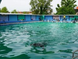 Ukur Kesiapan Jasmani Prajurit, Kodim 0813 Bojonegoro Gelar PSJM