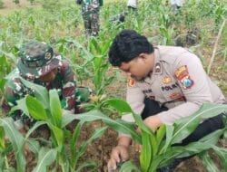 Mitigasi Bencana, Tiga Pilar di Kedungsumber Temayang Bojonegoro Tanam Ratusan Pohon Produktif