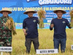 Dandim Bojonegoro damping Bupati Panen Perdana Varietas Unggul Padi Gamagora