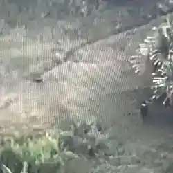 Anggota OPM Kodap III/Puncak Pimpinan Lekagak Talenggen Bakar Rumah Warga di Kampung Muara Distrik Pogoma, Tim Patroli Koops TNI Habema Amankan Lokasi