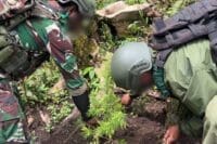 Satgas Swasembada Berhasil Ungkap Ladang Ganja di Pegunungan Bintang, Puluhan Tanaman Siap Panen Diamankan