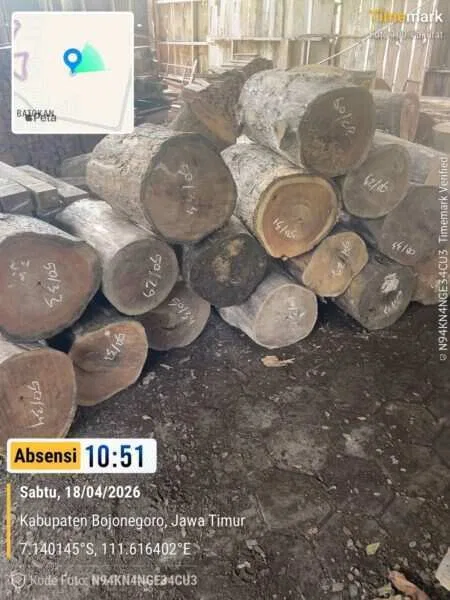 Perhutani Dinilai Setengah Hati: Kayu Diamankan, Kasus Dibiarkan Mengambang