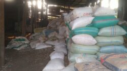Batuk, Sesak Napas, dan Bau Busuk: Warga Tuban Menanggung Dampak Pabrik Tanpa Perlindungan Batuk, Sesak Napas, dan Bau Busuk: Warga Tuban Menanggung Dampak Pabrik Tanpa Perlindungan