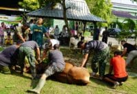 Semangat Berbagi di Idul Adha, Kodim Bojonegoro Salurkan Daging Kurban