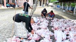 Tak Sekedar Kurban, Lanud Sjamsudin Noor Rajut Kebersamaan dan Kepedulian Semangat Berbagi Kepada Sesama di Hari Raya Idul Adha 1447 H/2026 M Tak Sekedar Kurban, Lanud Sjamsudin Noor Rajut Kebersamaan dan Kepedulian Semangat Berbagi Kepada Sesama di Hari Raya Idul Adha 1447 H/2026 M