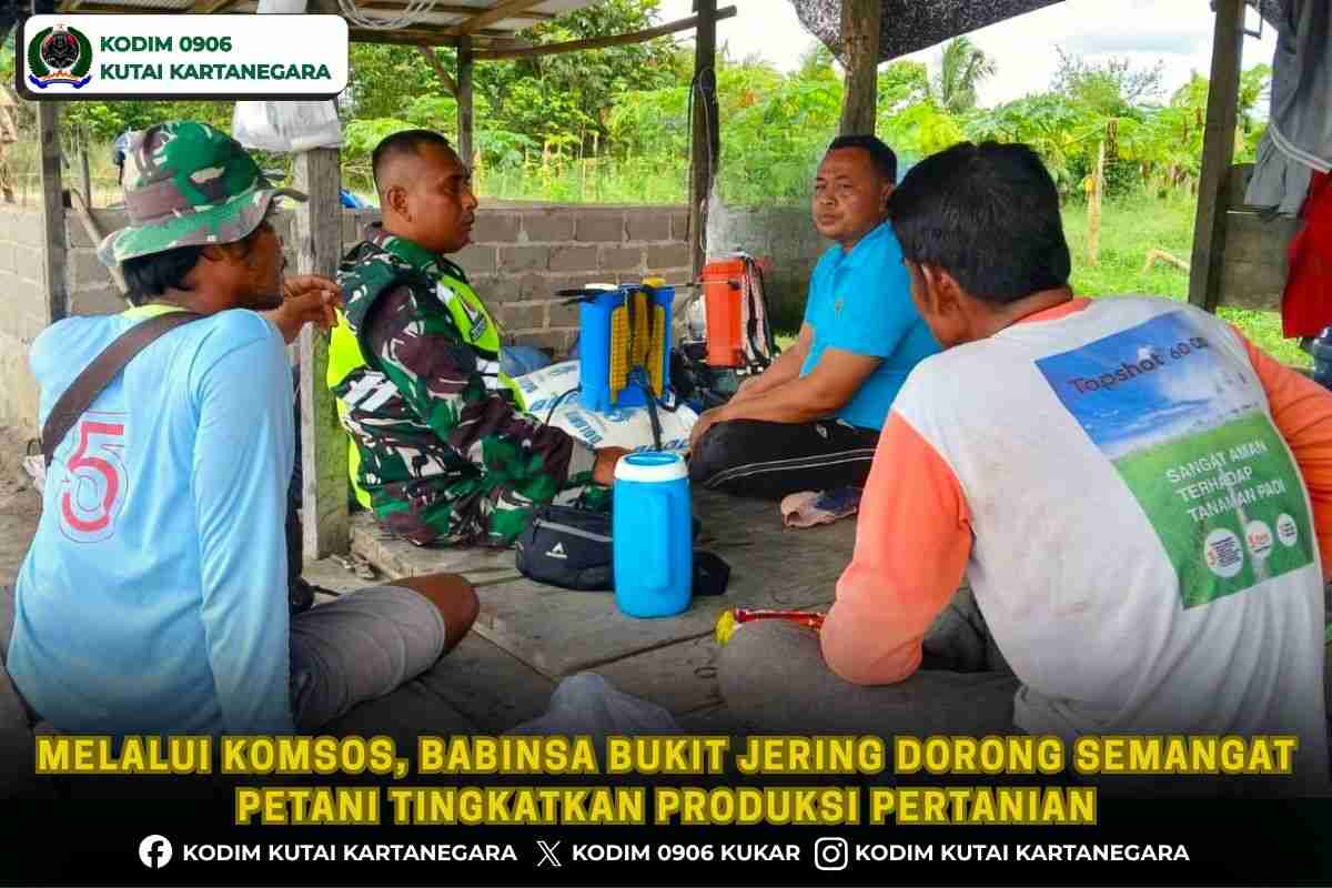 Melalui Komsos, Babinsa Bukit Jering Dorong Semangat Petani Tingkatkan Produksi Pertanian