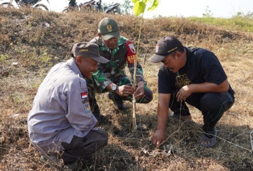 Pembinaan Lingkungan Hidup, Kodim Bojonegoro Tanam Ribuan Pohon Kayu Putih dan Balsa Pembinaan Lingkungan Hidup, Kodim Bojonegoro Tanam Ribuan Pohon Kayu Putih dan Balsa