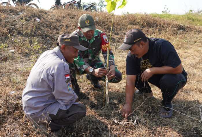 Pembinaan Lingkungan Hidup, Kodim Bojonegoro Tanam Ribuan Pohon Kayu Putih dan Balsa