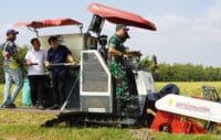 Dukung Ketahanan Pangan, Dandim Bojonegoro Hadiri Wiwit Massal dan Panen Raya Padi