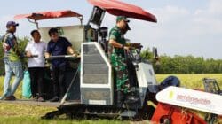 Dukung Ketahanan Pangan, Dandim Bojonegoro Hadiri Wiwit Massal dan Panen Raya Padi