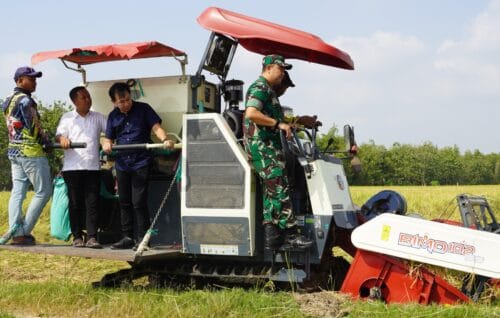 Dukung Ketahanan Pangan, Dandim Bojonegoro Hadiri Wiwit Massal dan Panen Raya Padi