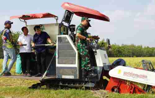 Dukung Ketahanan Pangan, Dandim Bojonegoro Hadiri Wiwit Massal dan Panen Raya Padi Dukung Ketahanan Pangan, Dandim Bojonegoro Hadiri Wiwit Massal dan Panen Raya Padi