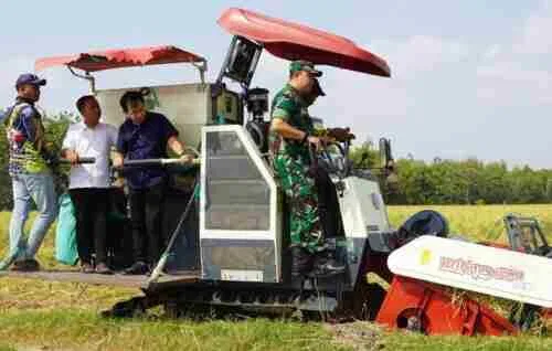 Dukung Ketahanan Pangan, Dandim Bojonegoro Hadiri Wiwit Massal dan Panen Raya Padi Dukung Ketahanan Pangan, Dandim Bojonegoro Hadiri Wiwit Massal dan Panen Raya Padi