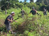 Babinsa Koramil Mapurujaya Bersama Warga Bersihkan TPU Kampung Hiripau