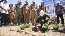 Perkuat Sinergi Pangkogabwilhan III Silaturahmi Bersama Forkopimda di Maluku Utara