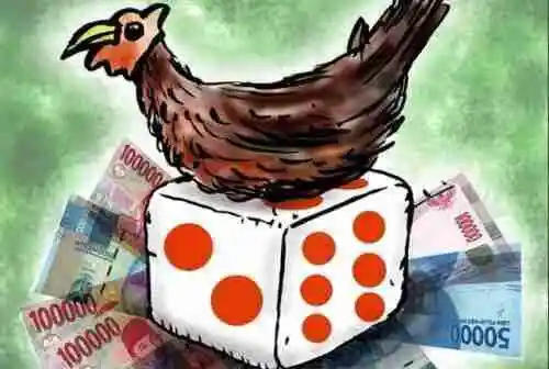 Bangunan Diduga Arena Judi Berdiri di Tengah Warga, Pengawasan Aparat Dipertanyakan