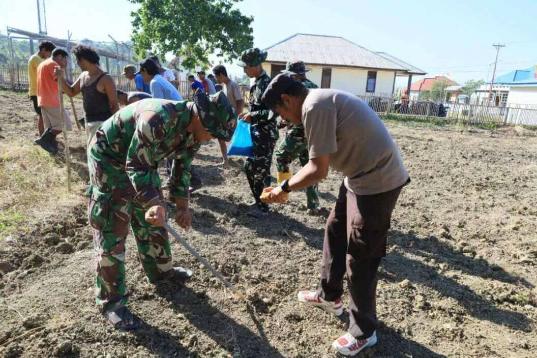 TMMD Ke-129 Tak Hanya Membangun, Tapi Juga Menanam Harapan Melalui Ketahanan Pangan TMMD Ke-129 Tak Hanya Membangun, Tapi Juga Menanam Harapan Melalui Ketahanan Pangan