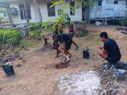 TMMD Ke-129 Kodim 1807/Sorsel Dorong Ketahanan Pangan, TNI Bersama Warga Bangun Kemandirian Pangan di Kampung Sesor TMMD Ke-129 Kodim 1807/Sorsel Dorong Ketahanan Pangan, TNI Bersama Warga Bangun Kemandirian Pangan di Kampung Sesor