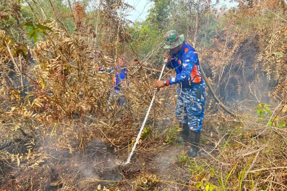 Jaga Gambut Tetap Aman, Satgas Darat Lanud Sjamsudin Noor Perkuat Pembasahan Berkelanjutan Jaga Gambut Tetap Aman, Satgas Darat Lanud Sjamsudin Noor Perkuat Pembasahan Berkelanjutan