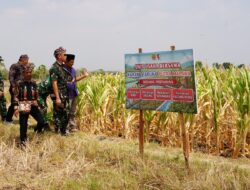 Harmoni dari Desa Leran Kalitidu Bojonegoro: Dusun Sido Kumpul Menuju Panggung Nasional KASAD Award 2026