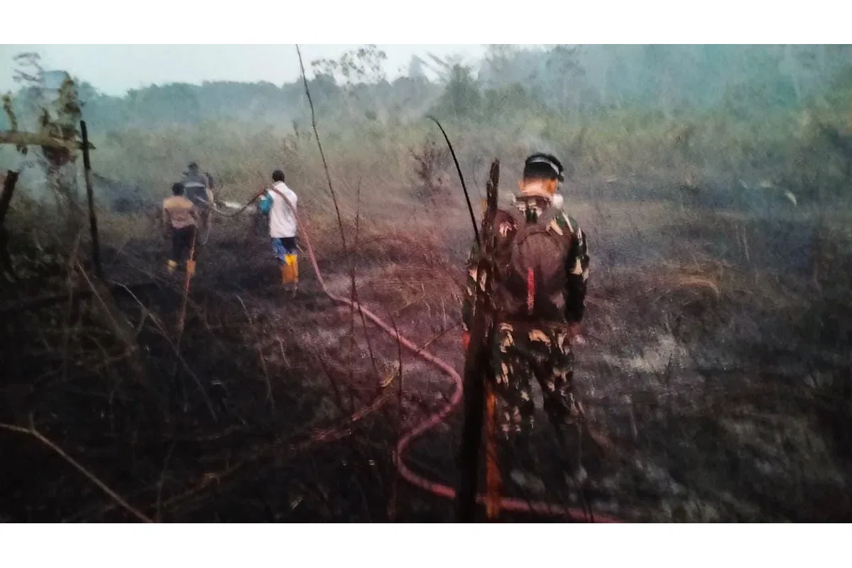 Respons Cepat Karhutla Dekat IKN, TNI Gerakkan Helikopter Caracal untuk Water Bombing