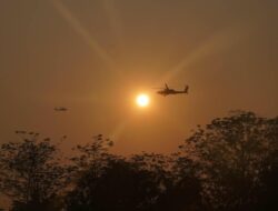 Jungle FTX Asah Kemampuan Tempur Pasukan Multinasional di Medan Hutan