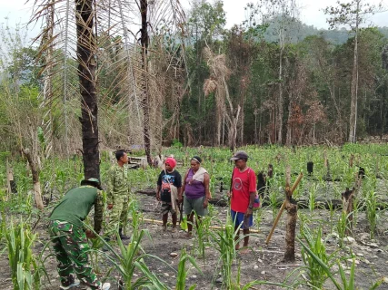 Berikan Penyuluhan Pertanian, Satgas TMMD ke-130 Dorong Kemandirian Pangan Warga Yamboi