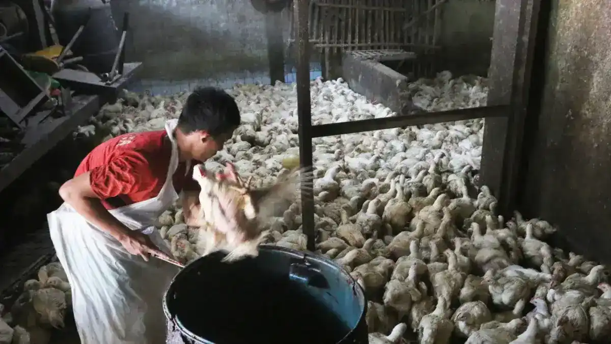 Perubahan harga juga tidak terjadi secara merata di seluruh daerah