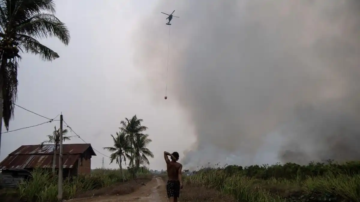 Asap Karhutla Kalimantan Diduga Menekan Kualitas Udara Makassar