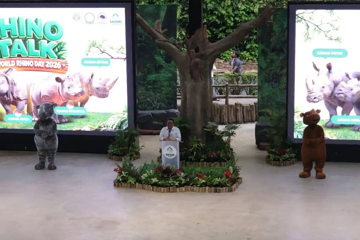 Dua Badak Sumatera Bunting di Way Kambas, Harapan Baru bagi Konservasi