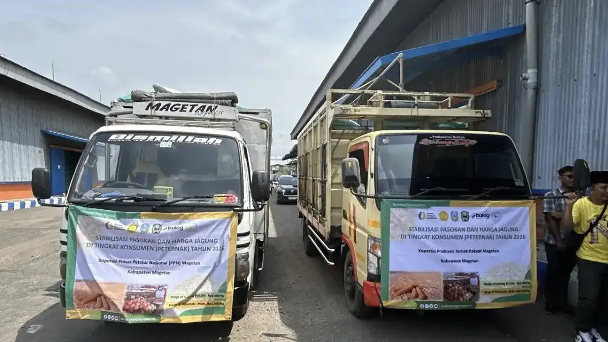 Bulog Jatim Menjamin Ketersediaan Jagung Pakan di Tengah Percepatan Penyaluran SPHP