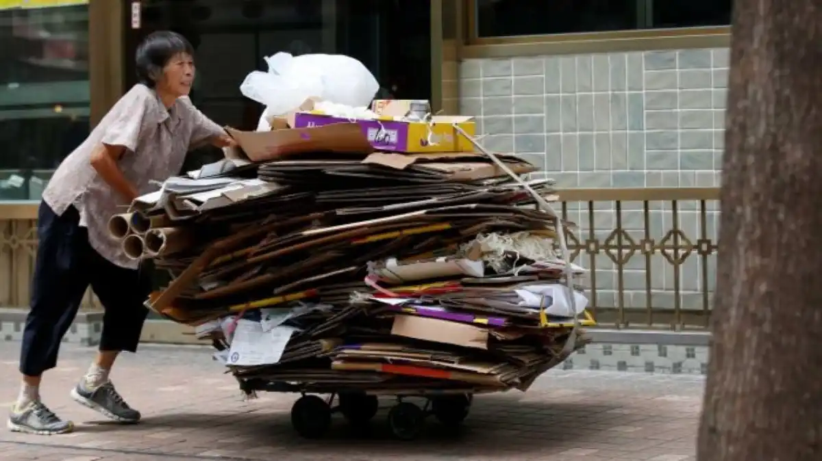 Peluang Usaha Kardus Bekas dari Rumah dengan Modal Terbatas