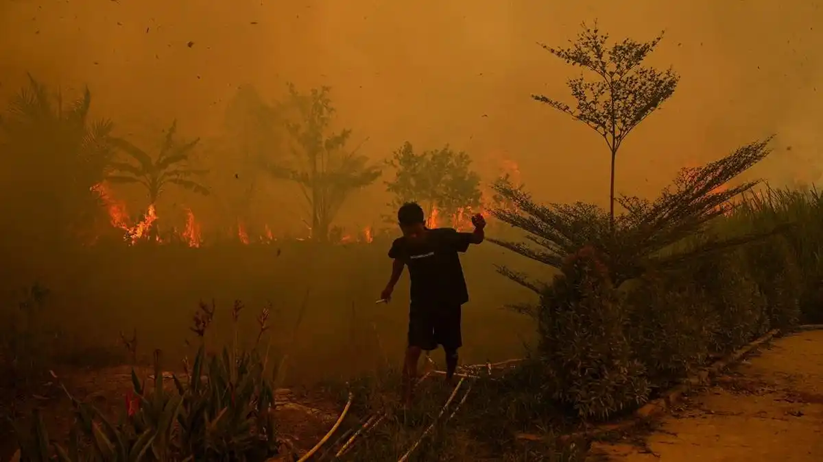 Hotspot Karhutla Naik di Kalteng dan Sumsel, Pemerintah Perkuat Respons Lapangan