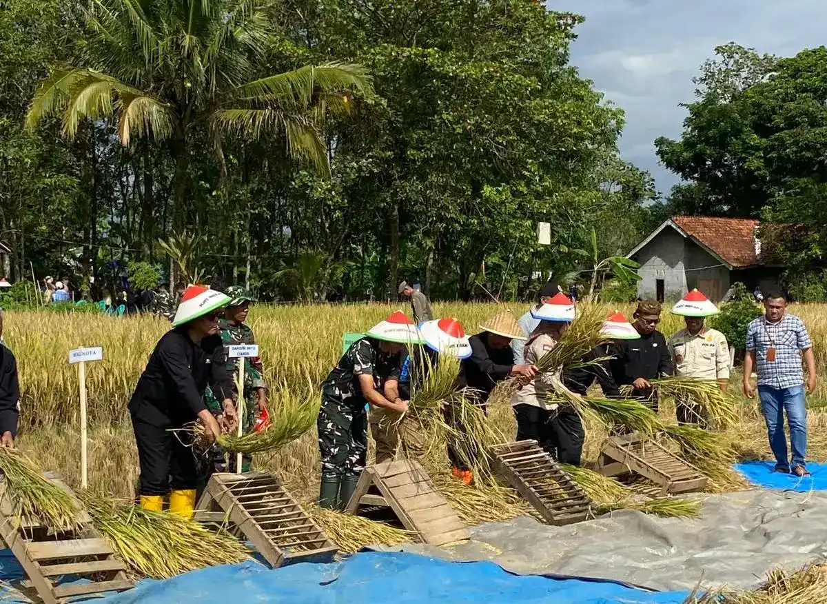 Bulog Ciamis Catat Serapan Gabah 140 Ribu Ton hingga Oktober 2026
