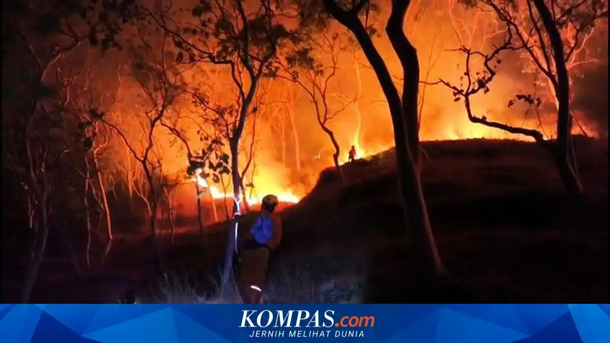 Karhutla Ponorogo Meluas ke 56 Desa, Luas Area Terbakar Tembus 341,85 Hektare