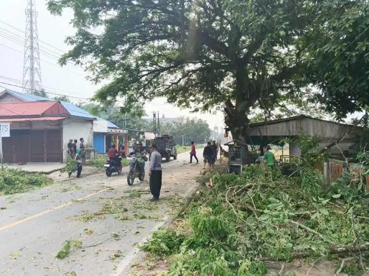 Kerja Bakti di TKN Pembina Mandor Difokuskan pada Penebangan Pohon