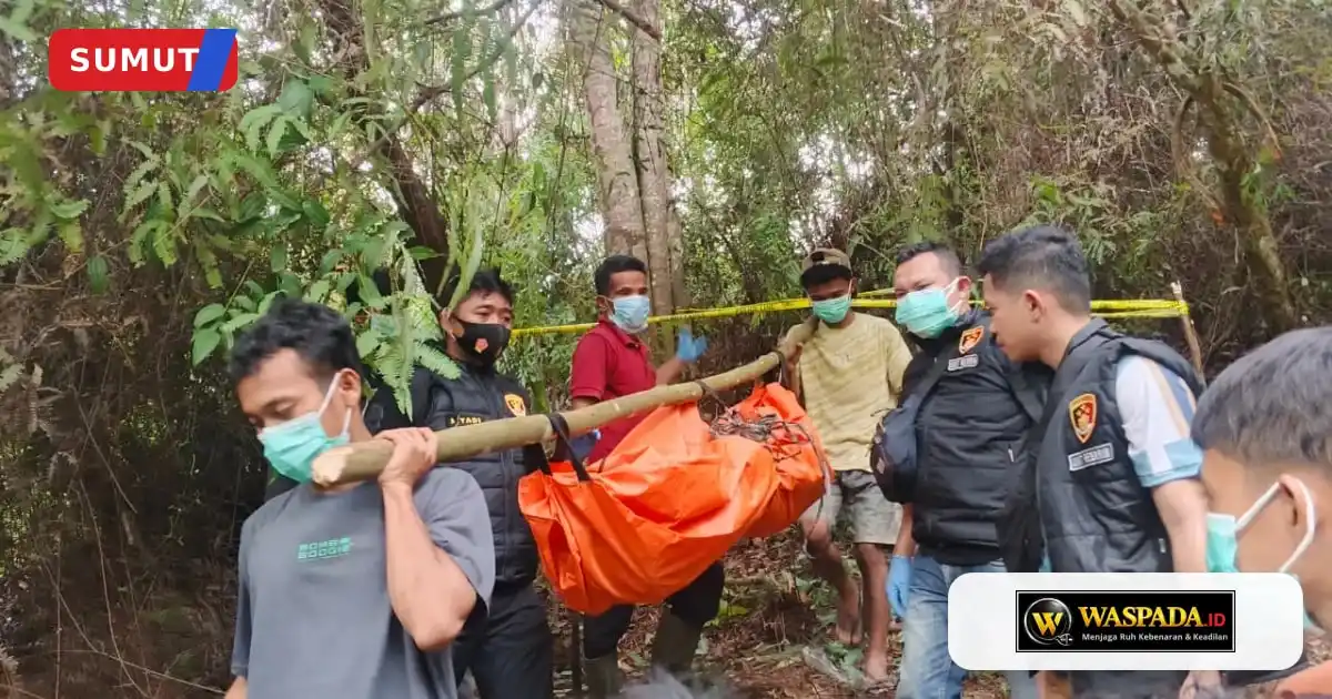 Ajn Ditemukan Meninggal Setelah Hampir Dua Pekan Dicari di Batang Toru