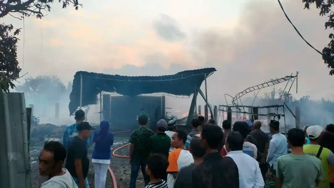 Kebakaran Melanda Peternakan di Banyuwangi, Puluhan Ribu Ayam dan Peralatan Hangus
