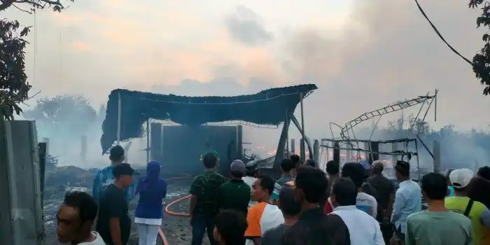 Kebakaran Dua Blok Kandang Ayam di Banyuwangi Menghanguskan 28 Ribu Ekor