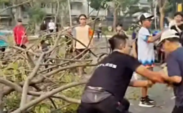 Dua Orang Dikabarkan Tertimpa Pohon di Kawasan Summarecon Bekasi