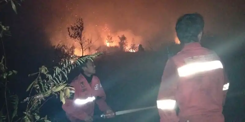 Perjuangan Manggala Agni Mengatasi Karhutla di Tengah Beragam Kendala