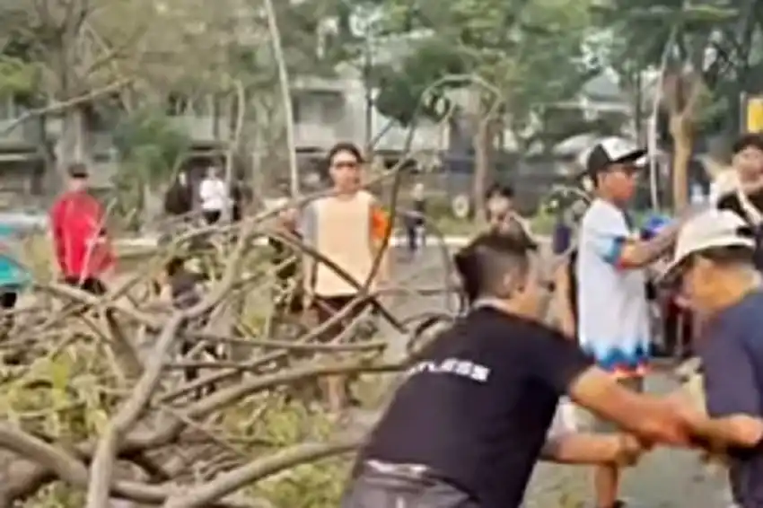 Pohon Tumbang di CBD Summarecon Bekasi Lukai Dua Warga