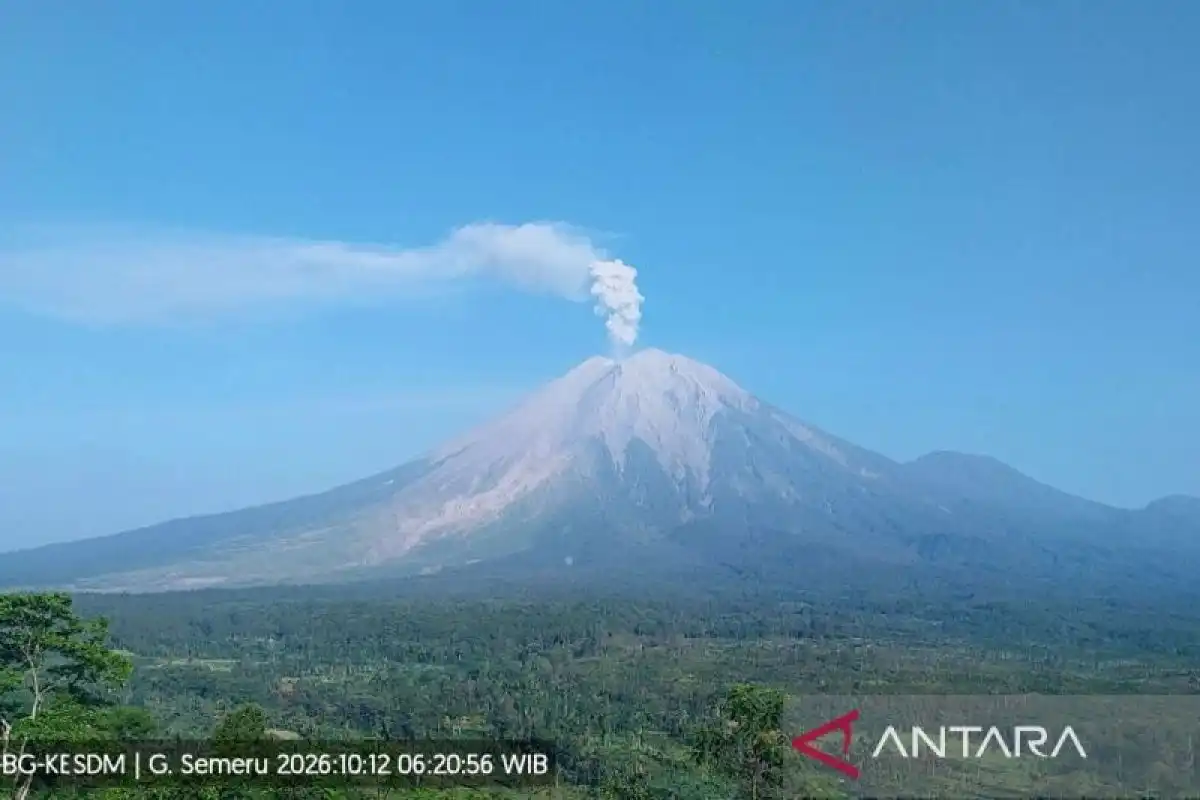 Semeru Erupsi Tiga Kali, Kolom Abu Mencapai 900 Meter