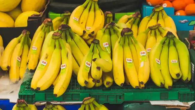 Jamur Asal Indonesia Ancam Keberlangsungan Pisang Dunia