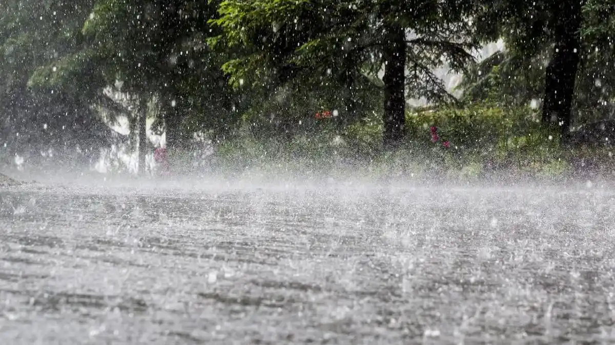 Hujan Lebat Memicu Banjir di Langkat dan Binjai, Pendataan Masih Berlangsung