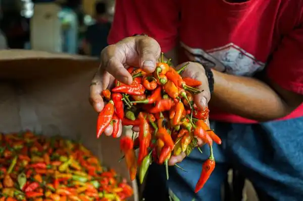 Harga Pangan Awal Pekan Naik, Cabai Rawit Merah Capai Rp132.850 per Kilogram